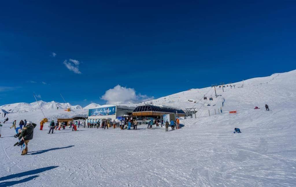 Redco №1 Apartament Gondola Lift Daire Gudauri Dış mekan fotoğraf